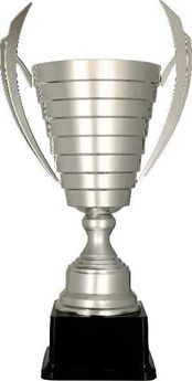 Detal Sidabrinis metalinis puodelis