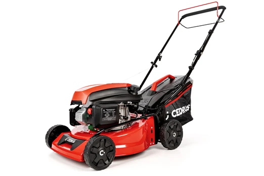 CEDRUS 5906434224522