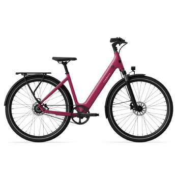 Electric bicycle TENWAYS CGO800S, Wild Berry