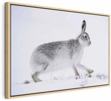 Artgeist Paveikslas - Hare (1 Part) Wide