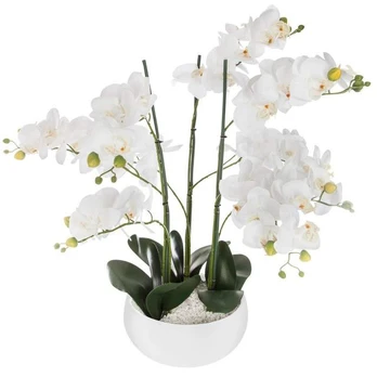 Dirbtinis augalas ORCHIDEE, baltas gėlių vazonas, 65 cm
