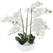Dirbtinis augalas ORCHIDEE, baltas gėlių vazonas, 65 cm kaina