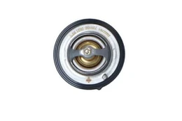 Termostatas, aušinimo skystis NRF 725132
