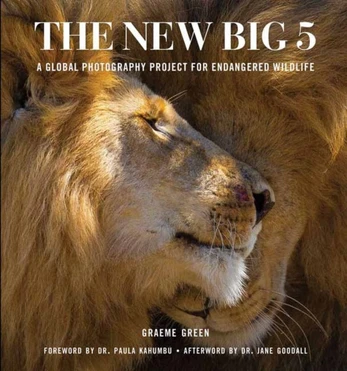 New Big Five