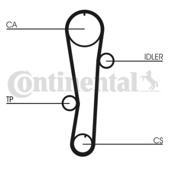 CONTI CT 942 WP1 Timing kit (belt+ pulley+ water pump)