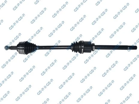 Pusašis GSP 250540