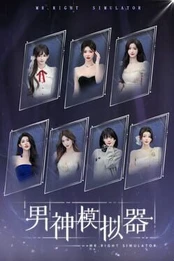 Mr Right Simulator PC