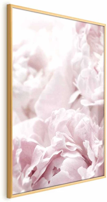 Artgeist Plakatas - Fluffy Peonies