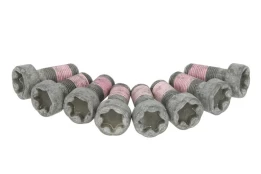 SACHS 1874 000 050 Flywheel bolt kit kaina