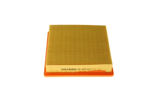 Oro filtras FILTRON AP 003/10