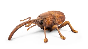 MAKEBUG 3D popierinė delionė Weevil, MB-B-0004 kaina