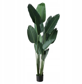 Boltze Dirbtinis bananų augalas, aukštis 185 cm