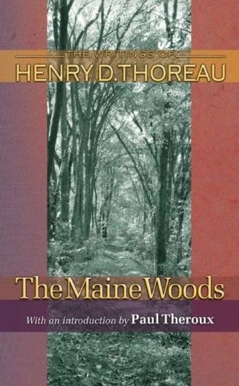 Maine Woods