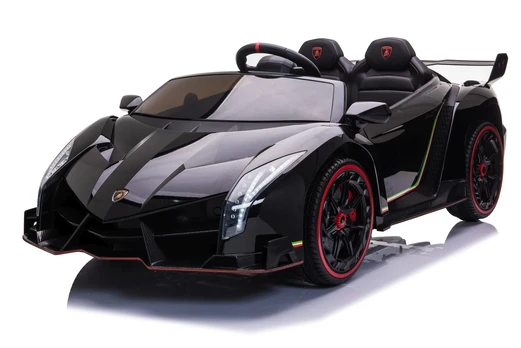 Vehicle Lamborghini Veneno Black