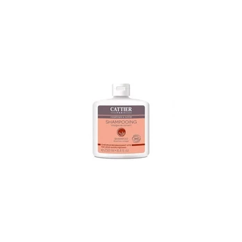 Cattier Paris Cattier riebių plaukų šampūnas 250ml