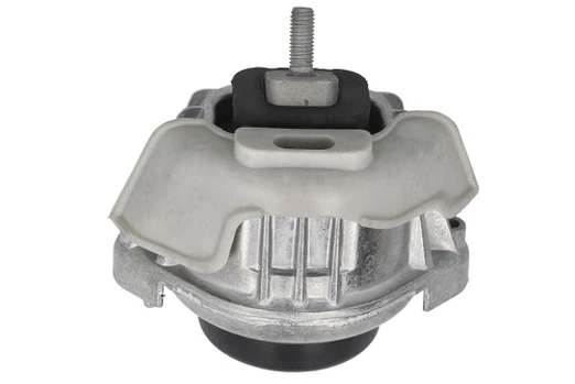 Variklio montavimas TEDGUM TED62178