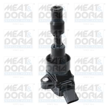 Uždegimo ritė MD10815
