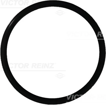Riebokšlis REINZ 40-76165-00