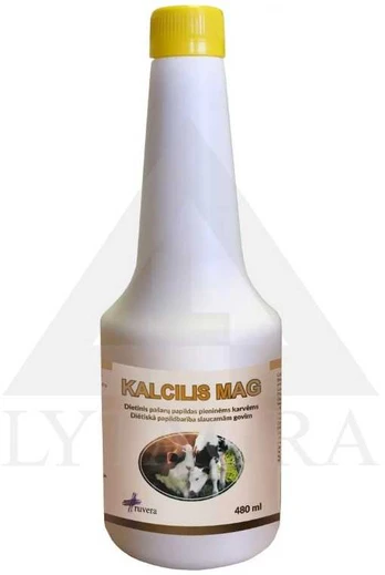 KALCILIS MAG 0.48 L