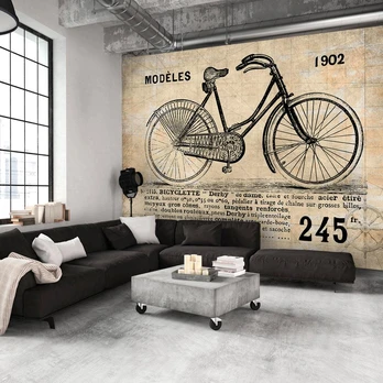 Artgeist Fototapetas - Old School Bicycle