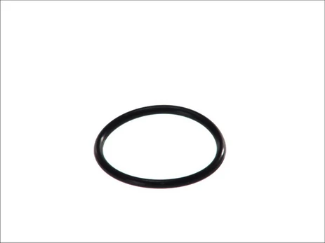 Termostato tarpinė HANS PRIES HP100 618