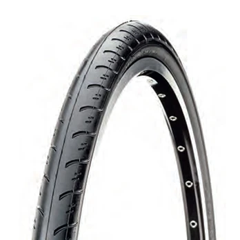 Padanga CST 29x1.40 (37-622) C1384