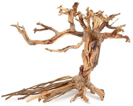 Norimpex Skęstantis bonsai medelis Nr. 14 40x30