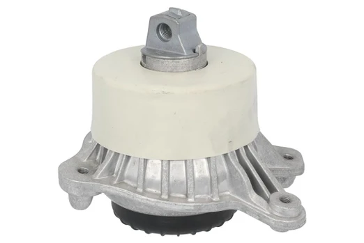 Variklio montavimas TEDGUM TED92540
