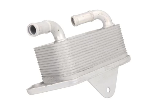 Alyvos radiatorius THERMOTEC D4A008TT