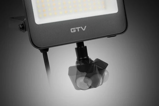 Floodlight with motion sensor DOVER, LED, 30W, 3600lm, CCT, AC220-240V, pilkas