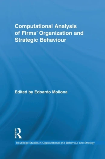 Computational Analysis of Firms' Organization and Strategic Behaviour