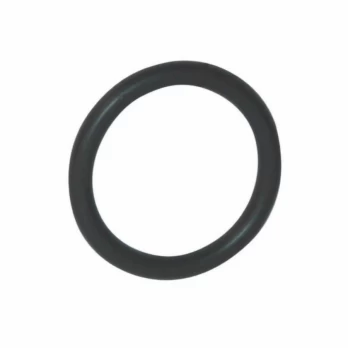 O-RING 29, ECHO