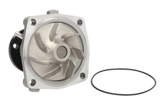Aušinimo skysčio siurblys THERMOTEC D1G042TT