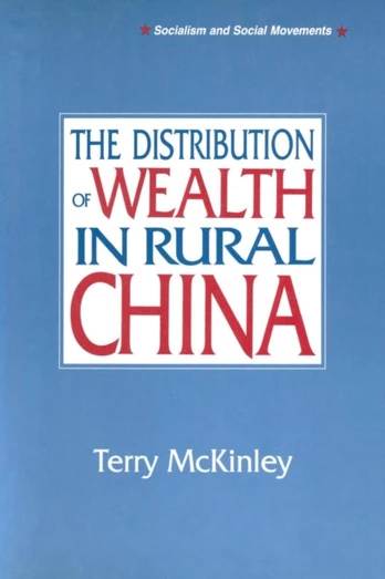 Distribution of Wealth in Rural China