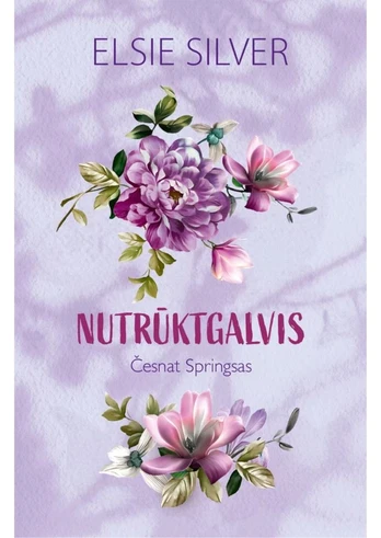 Nutrūktgalvis (Česnat Springsas, #4)