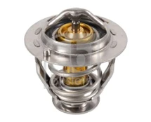Termostatas, aušinimo skystis FEBI BILSTEIN 170658