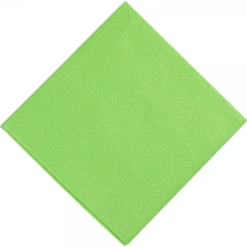Šluostė, 38×38 cm, žalia, PP/viskozė