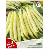 Pupelės žemaūgės daržinės Berggold 20g kaina