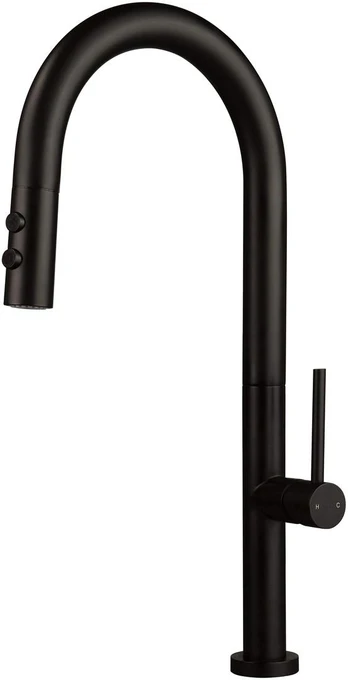 Kitchen faucet with pull-out spout - 2 types of spray