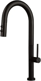 Kitchen faucet with pull-out spout - 2 types of spray kaina
