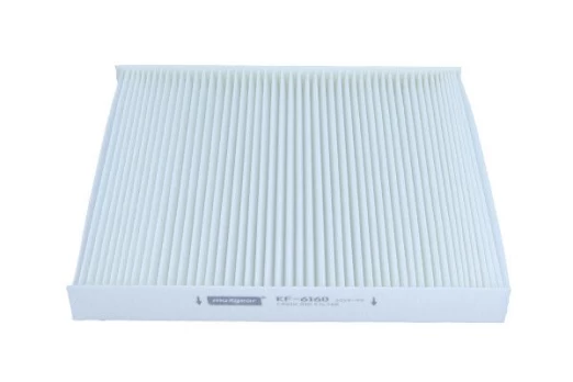 Filtras, salono oras MAXGEAR 26-0245