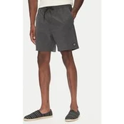 Billabong Plaukimo šortai Every Other Day Lb EBYJV00145 Pilka Regular Fit
