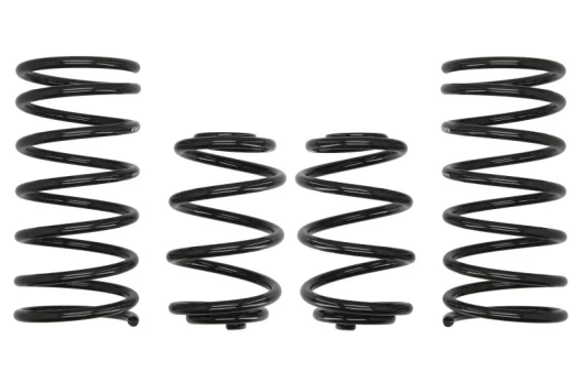Žeminanti spyruoklė (30-40/30 mm) Pro-Kit (4 vnt.) E2010-140 Tinka BMW 3 (E30)