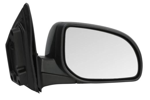 BLIC 5402-20-2001398P Wing mirror