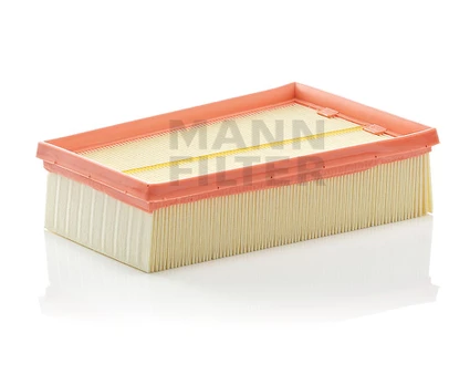 Oro filtras C2433/2