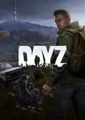 DayZ PC kaina