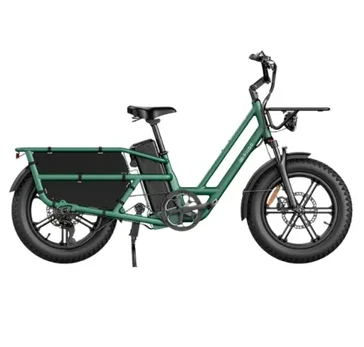 FIIDO T2 CARGO elektrinis dviratis (20") FIIDO-T2-GREEN