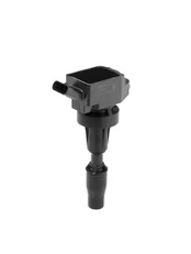 Ritė, uždegimas BorgWarner (BERU) ZSE301