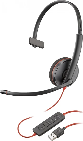 Ausinės Poly Blackwire 3210