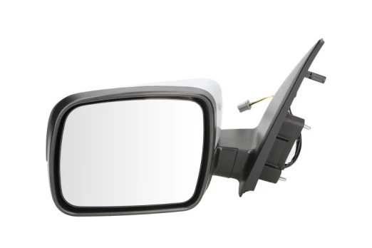 BLIC 5402-57-2001661P Wing mirror